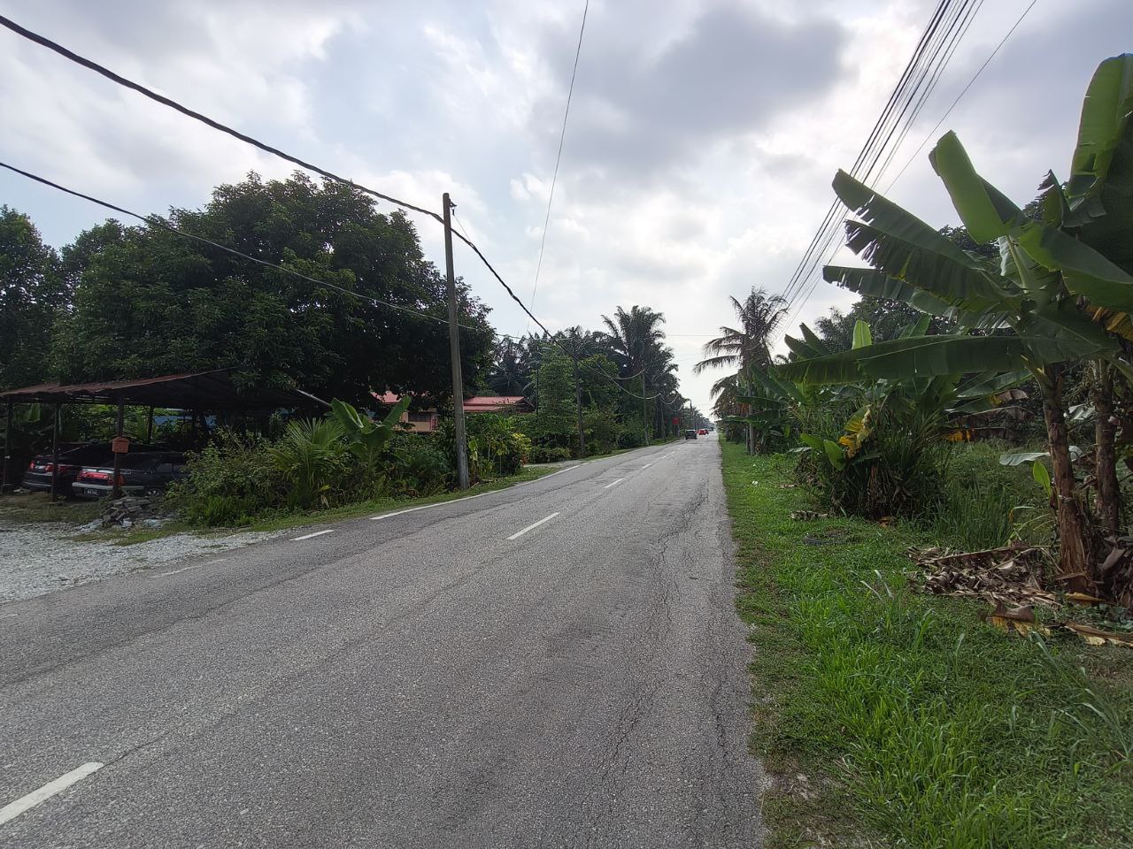 Tanah Pertanian Olak Lempit - photo 8