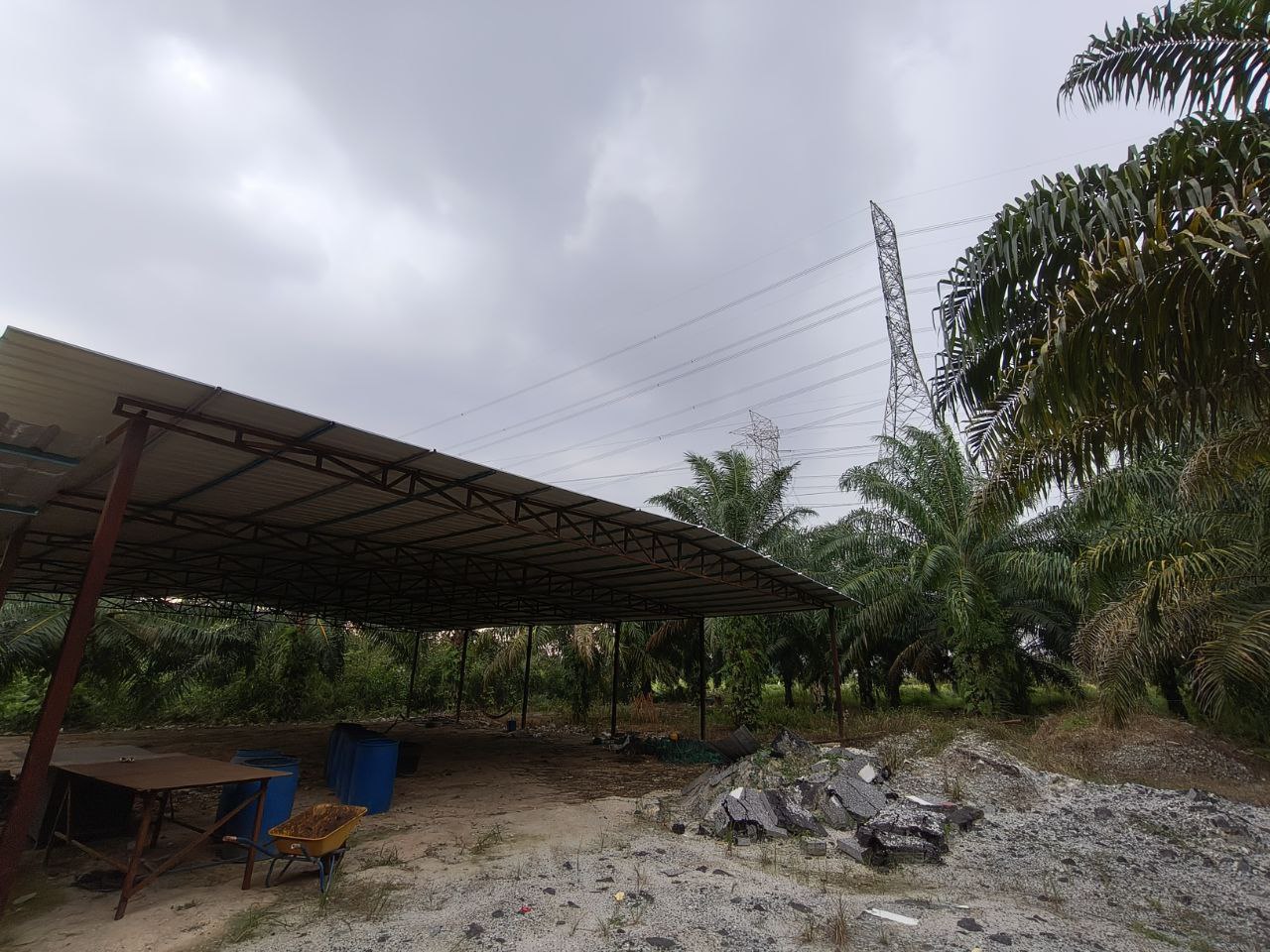 Tanah Pertanian Olak Lempit - photo 10