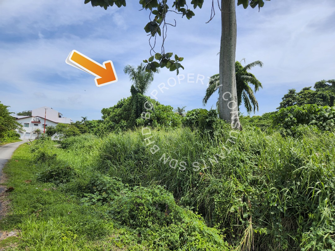 Tanah Pertanian Teluk Gadong Besar Klang - photo 2