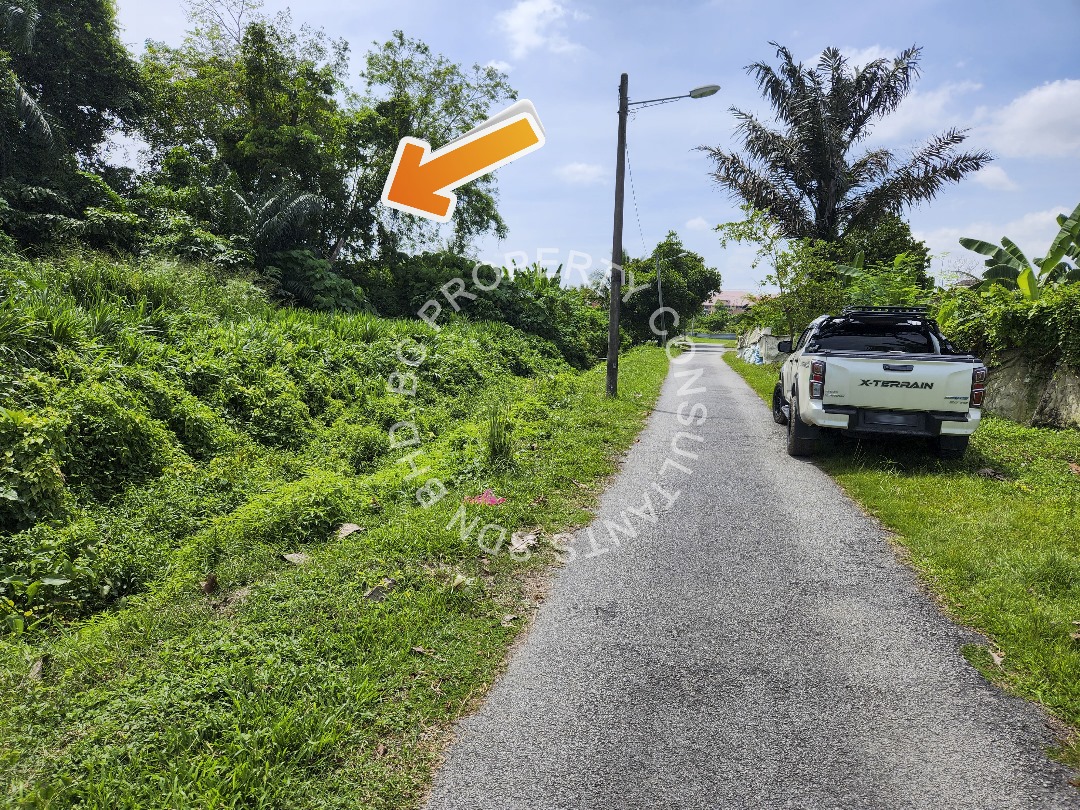Tanah Pertanian Teluk Gadong Besar Klang - photo 3