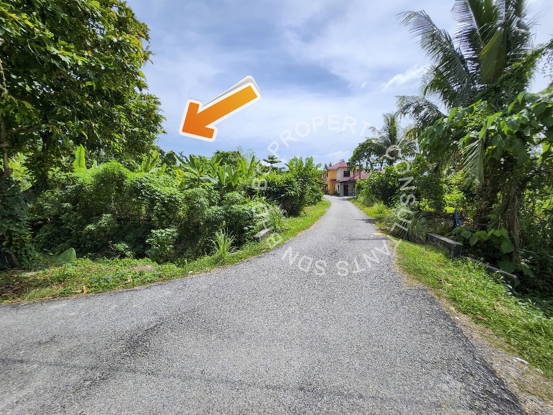 Tanah Pertanian Teluk Gadong Besar Klang - photo 4