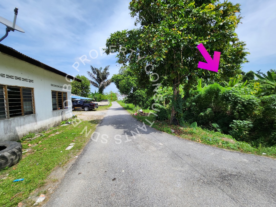 Tanah Pertanian Teluk Gadong Besar Klang - photo 7