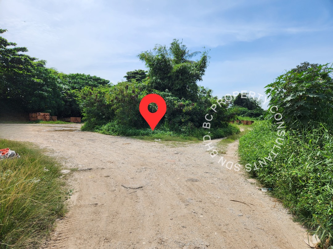 Tanah Pertanian Teluk Gadong Besar Klang - photo 8