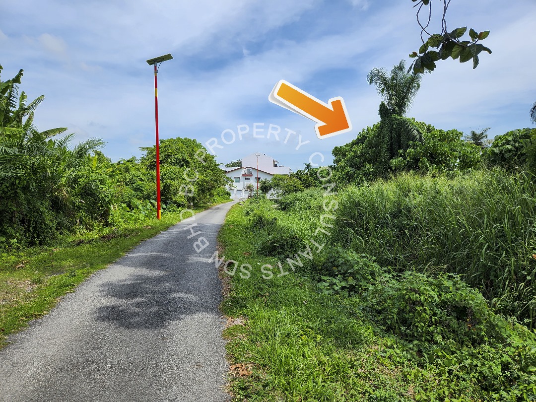 Tanah Pertanian Teluk Gadong Besar Klang - photo 13