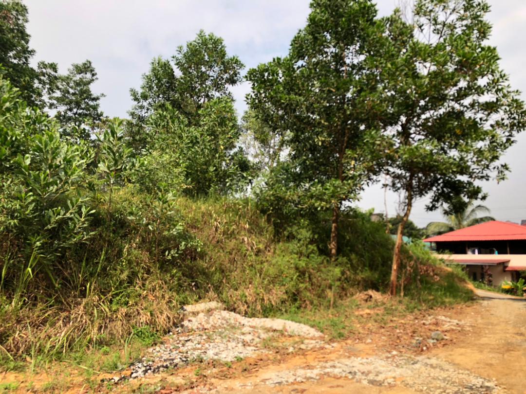 Corner Lot Banglo Sungai Merab - photo 3