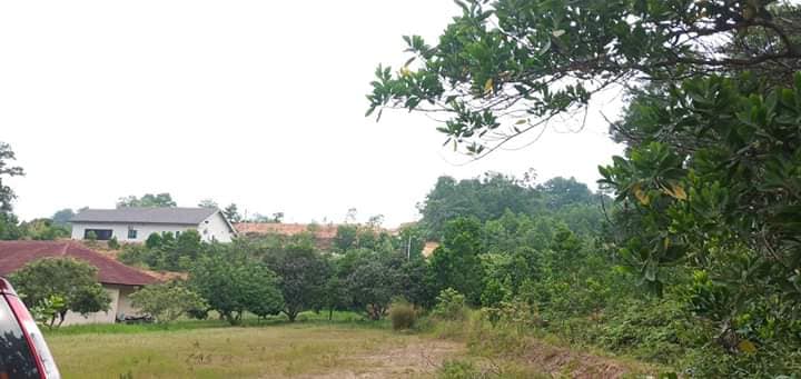 TANAH LOT UNTUK DIJUAL Teras Jernang - photo 3