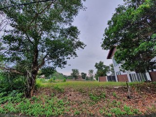 BUNGALOW LOT TAMAN UNIVERSITI SUNGAI TANGKAS - photo 7