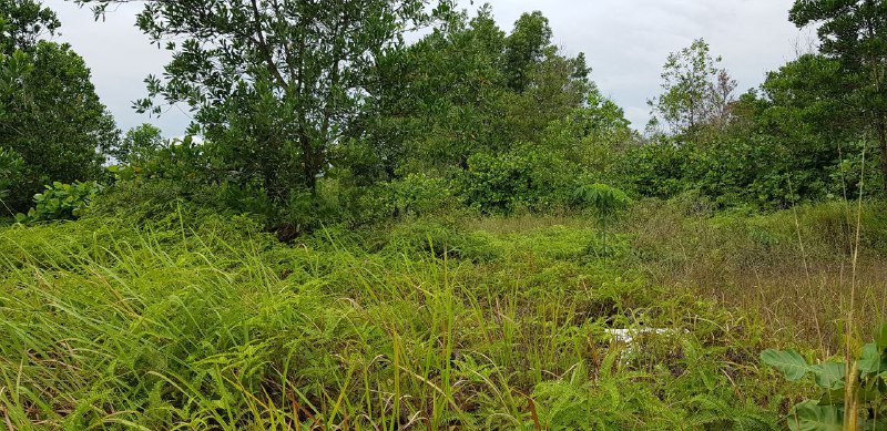 BUNGALOW LOT SEKSYEN 7 BANDAR BUKIT MAHKOTA BANGI - photo 8