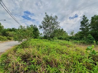 BUNGALOW LOT SEKSYEN 7 BANDAR BUKIT MAHKOTA BANGI - photo 4
