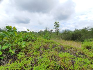 BUNGALOW LOT SEKSYEN 7 BUKIT MAHKOTA BANGI - photo 3