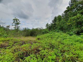 BUNGALOW LOT SEKSYEN 7 BUKIT MAHKOTA BANGI - photo 4