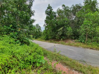 BUNGALOW LOT SEKSYEN 7 BUKIT MAHKOTA BANGI - photo 2