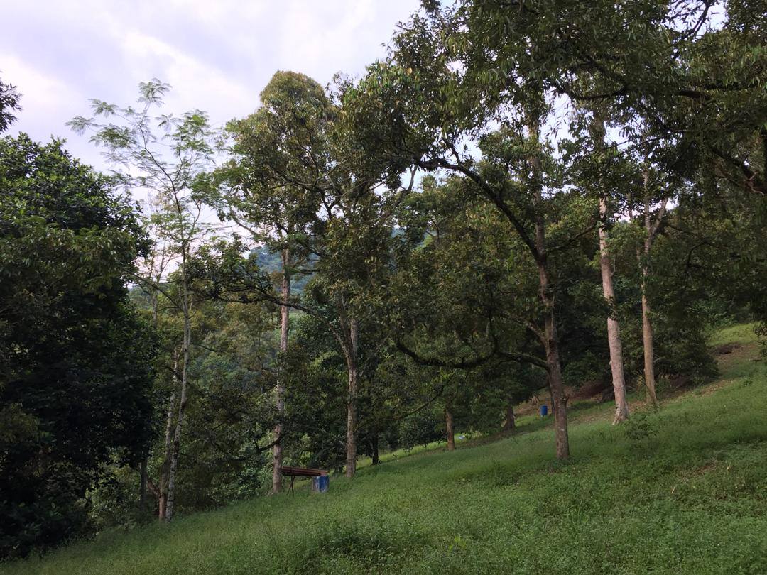Tanah Durian IOI D24 Nilai dekat Lenggeng Seremban