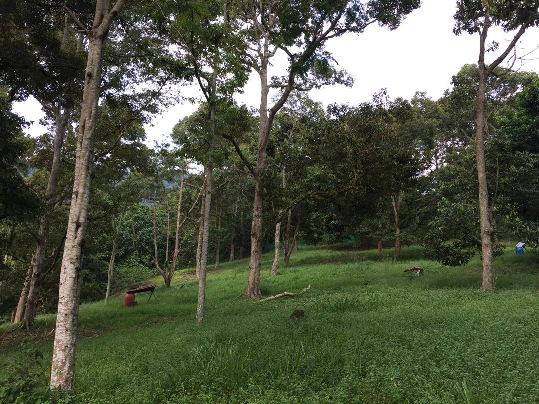 Tanah Durian IOI D24 Nilai dekat Lenggeng Seremban - photo 6