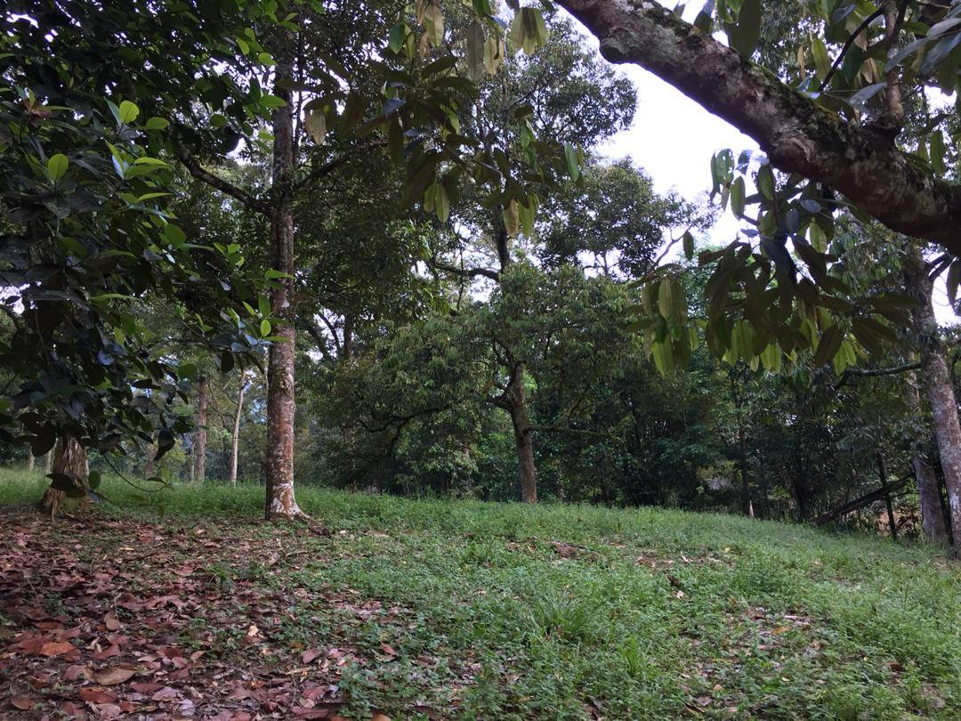 Tanah Durian IOI D24 Nilai dekat Lenggeng Seremban - photo 7