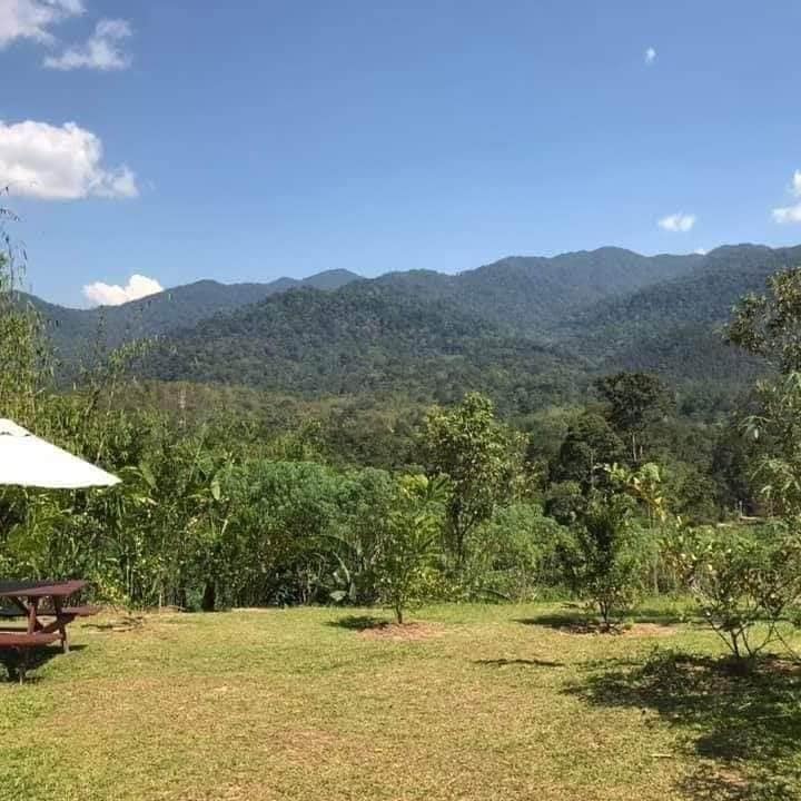 Resort Cantik untuk Dijual Hulu Langat 7 Ekar - photo 4