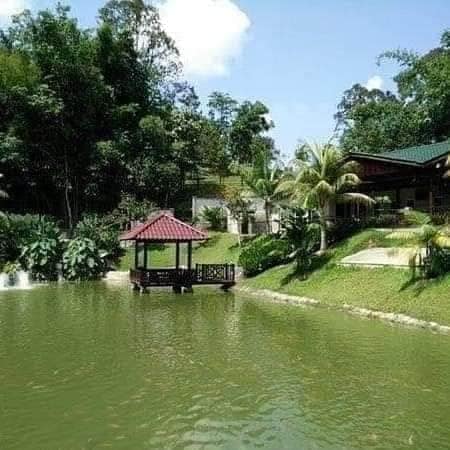 Resort Cantik untuk Dijual Hulu Langat 7 Ekar - photo 5