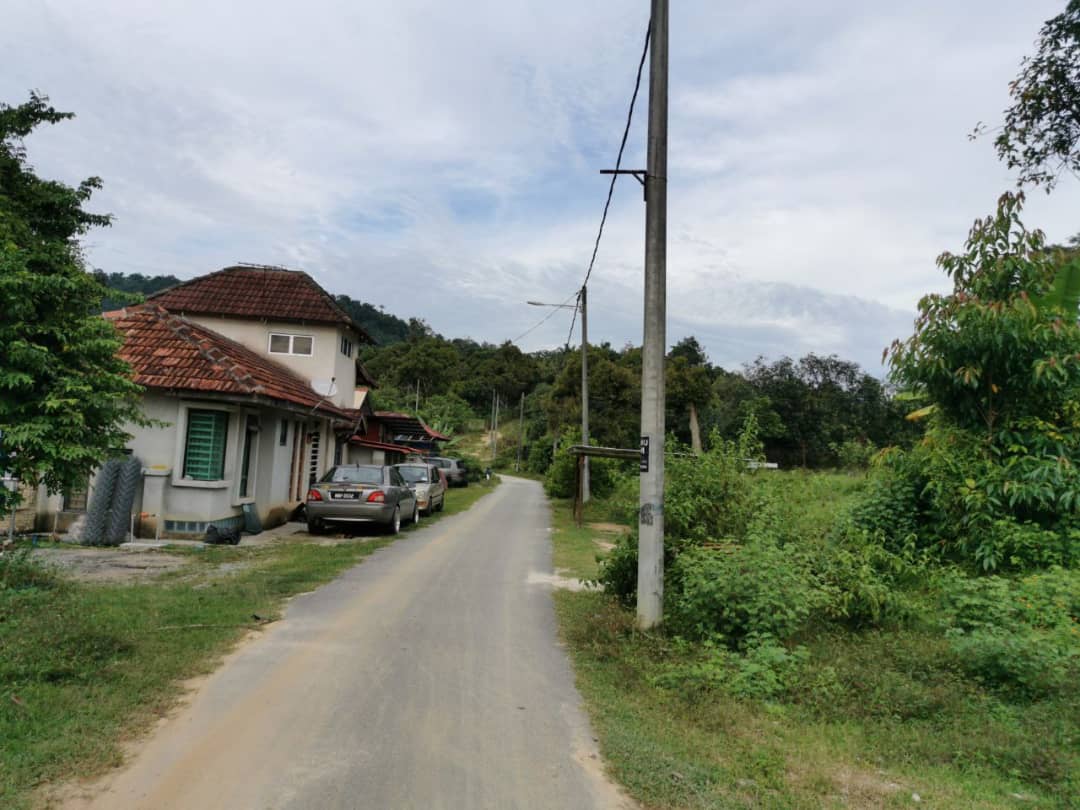 Dusun Buah Kampung Sungai Machang Ulu Lenggeng N9 - photo 2
