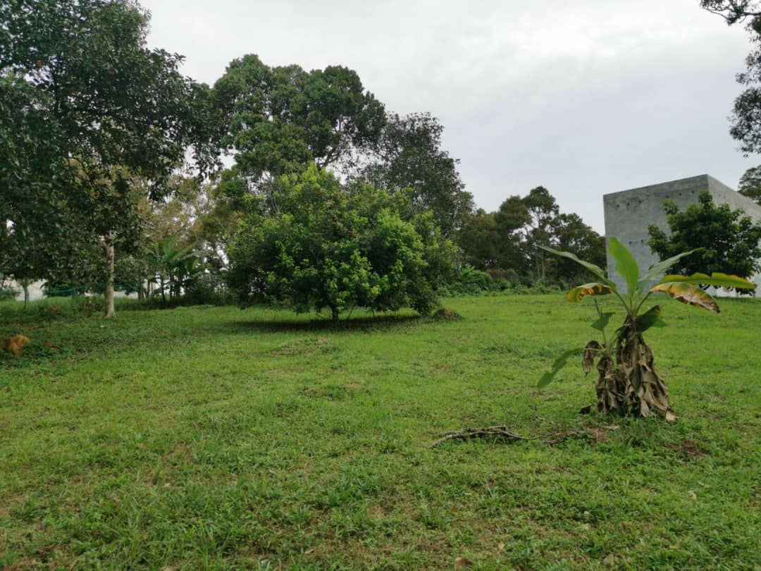 Dusun Buah Kampung Sungai Machang Ulu Lenggeng N9 - photo 5