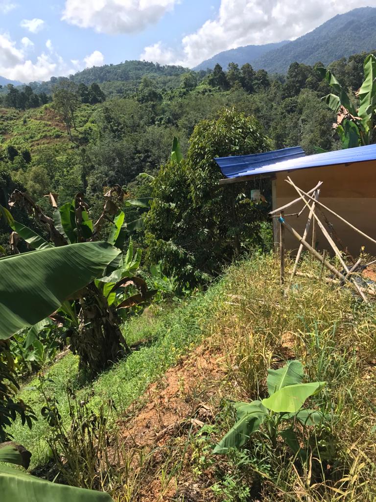 Tanah Dusun Durian Lima Ekar Ulu Dong Raub Pahang - photo 4