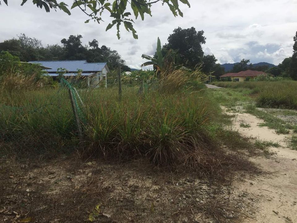 Tanah Sungai Jai Beranang dekat Lenggeng Mantin - photo 3