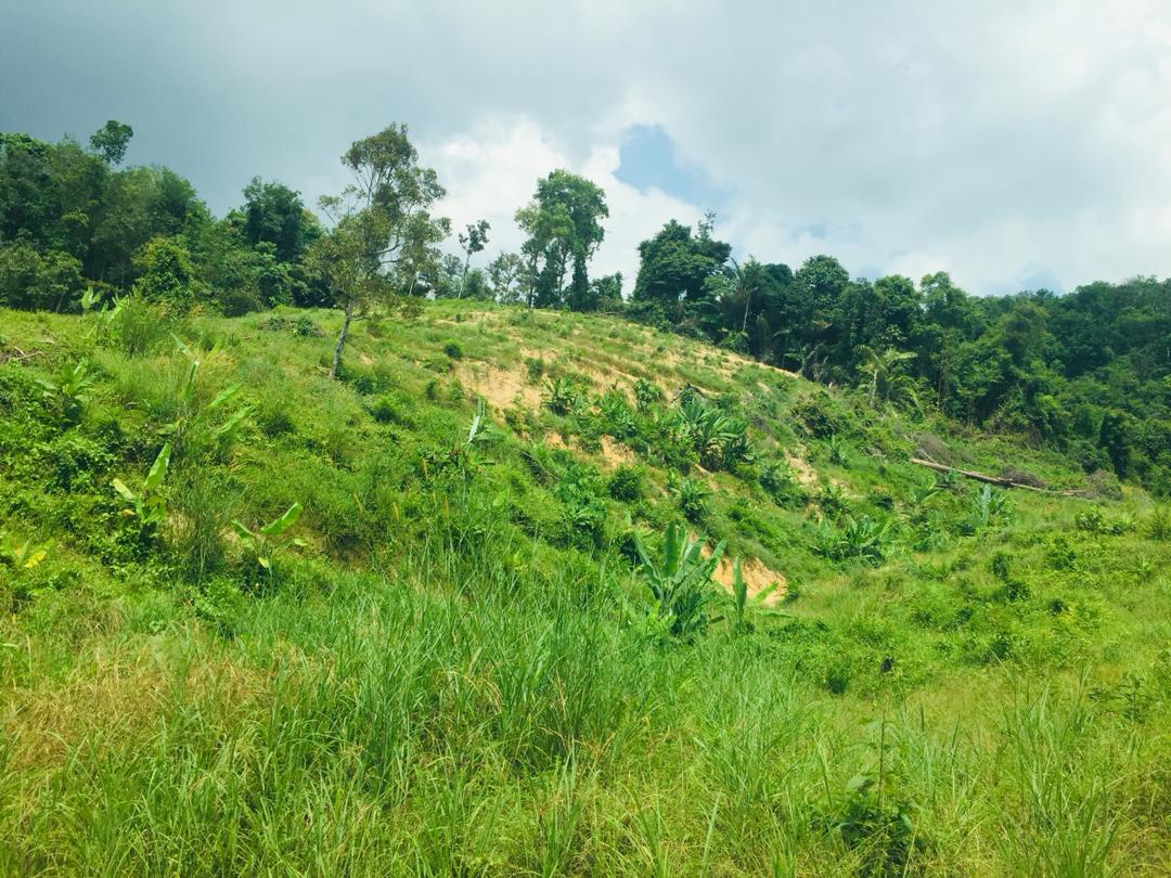 Tanah Lenggeng dekat Mantin Beranang Mantin Nilai
