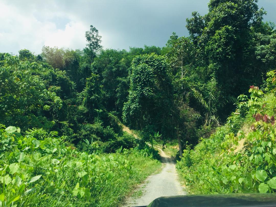 Tanah Lenggeng dekat Mantin Beranang Mantin Nilai - photo 2