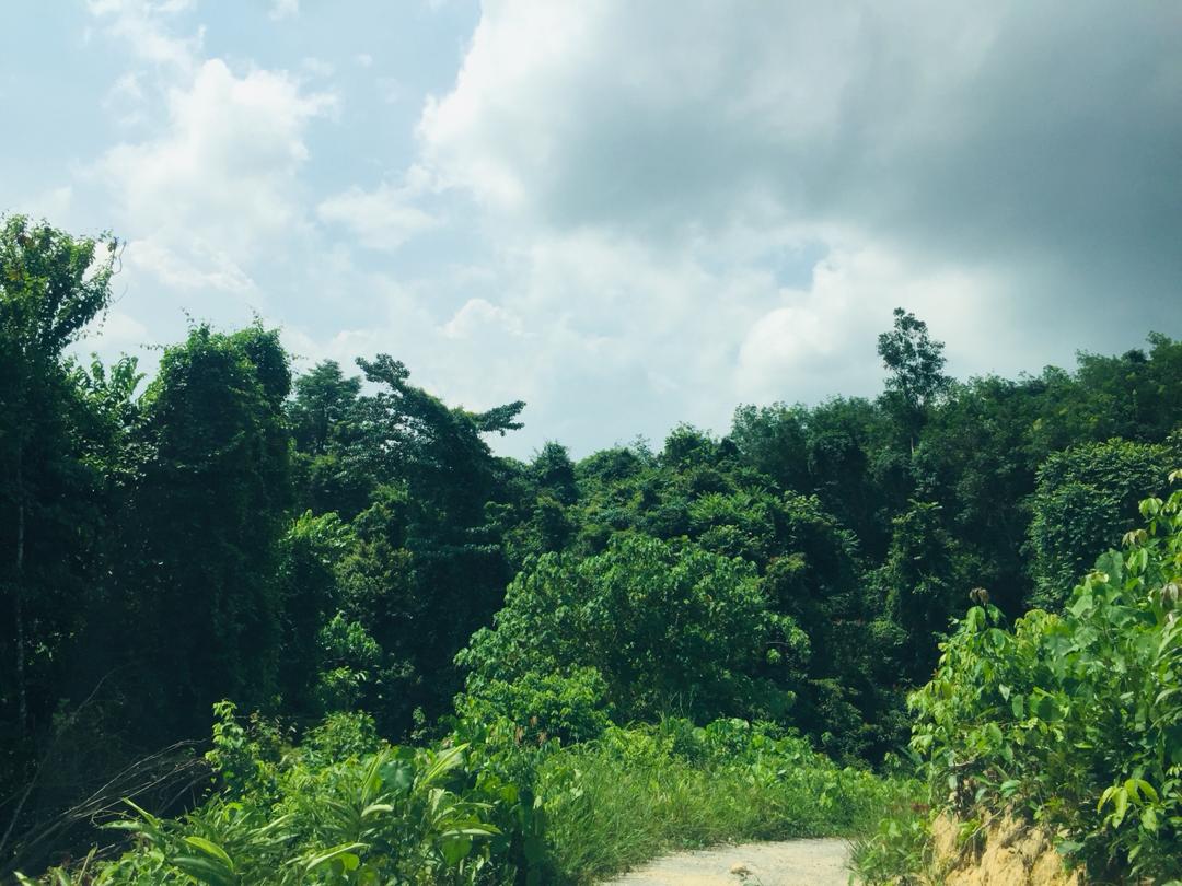 Tanah Lenggeng dekat Mantin Beranang Mantin Nilai - photo 3