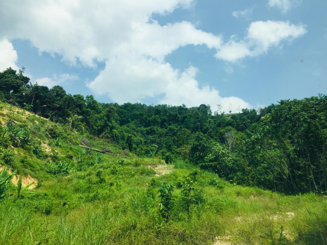 Tanah Lenggeng dekat Mantin Beranang Mantin Nilai - photo 4