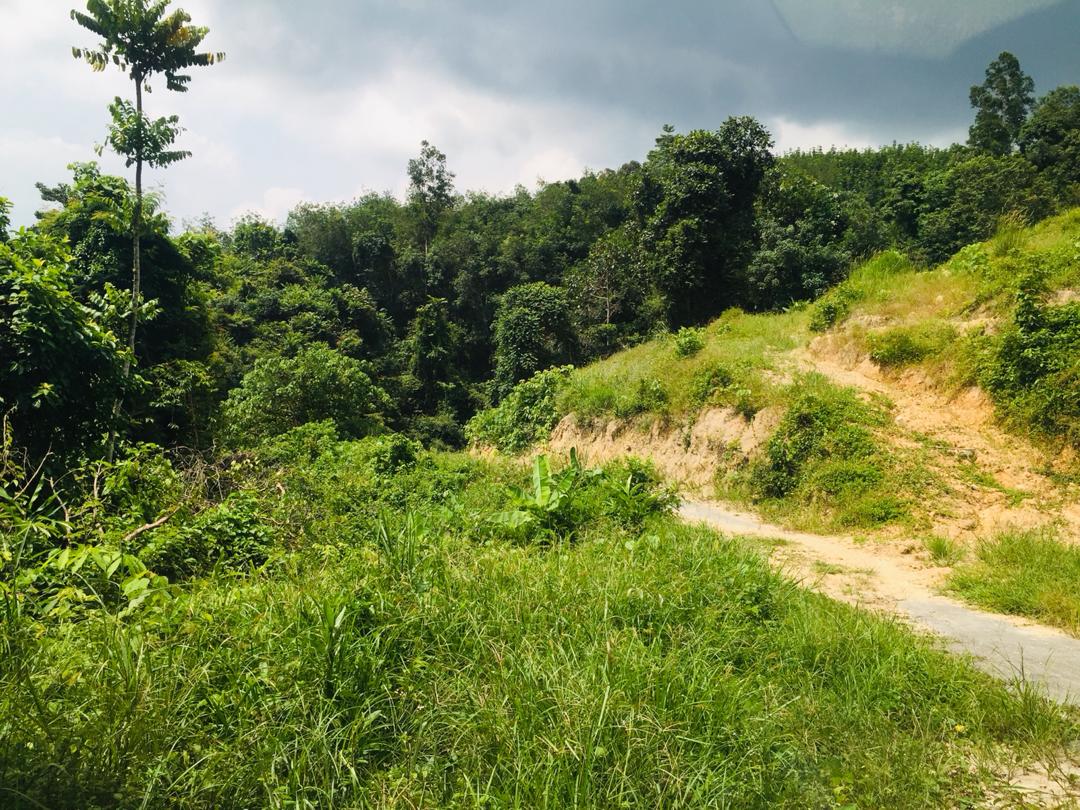 Tanah Lenggeng dekat Mantin Beranang Mantin Nilai - photo 5