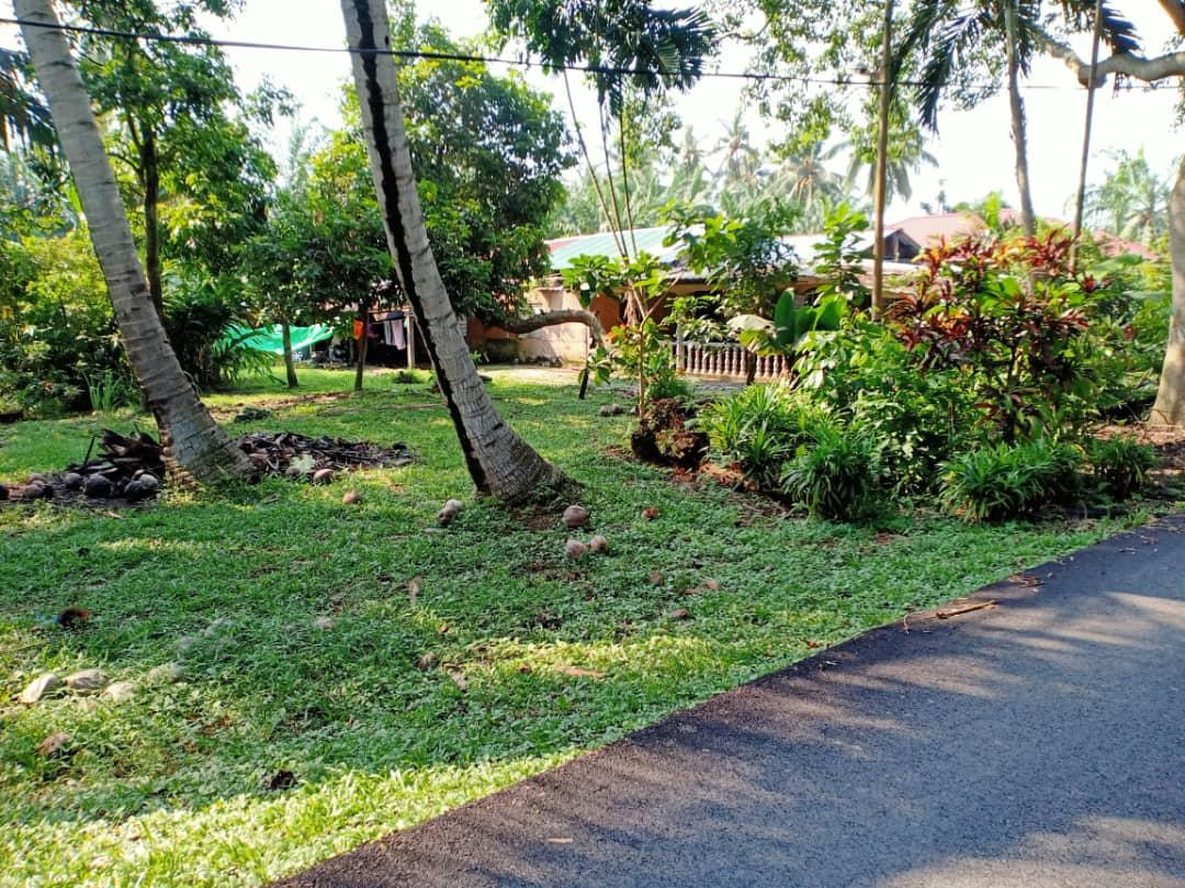 Tanah di Kapar Tok Muda Klang