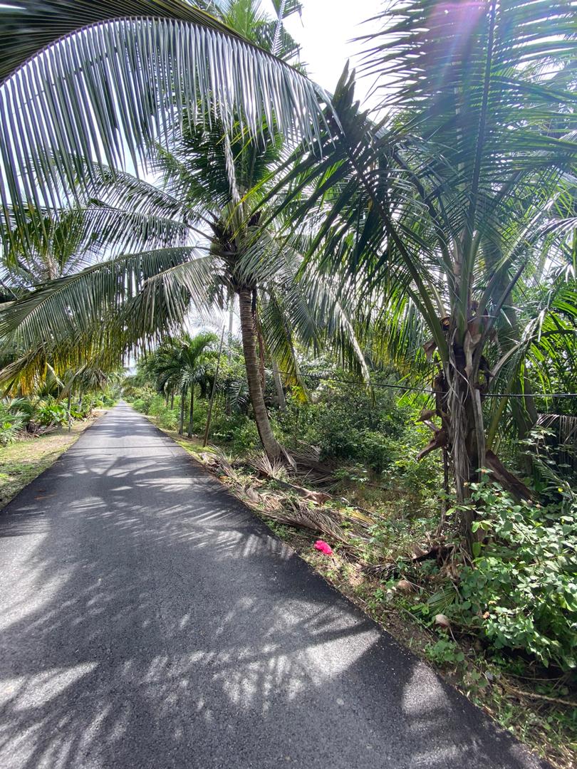 Tanah di Kapar Tok Muda Klang - photo 2