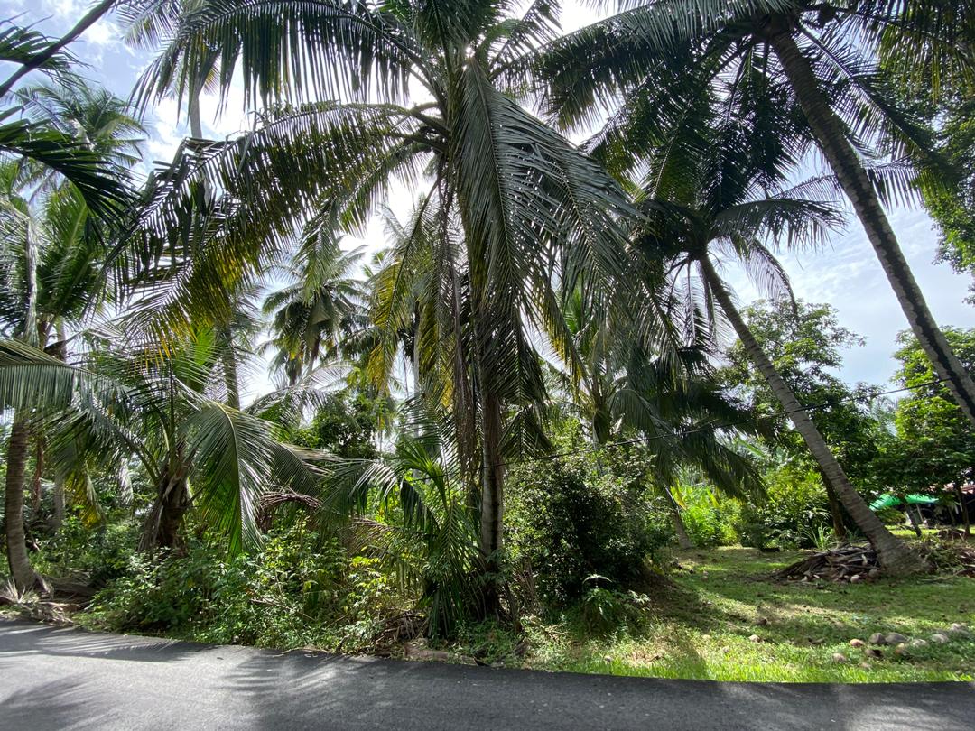 Tanah di Kapar Tok Muda Klang - photo 3