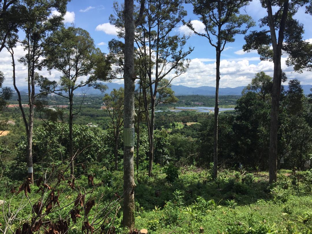 Dusun Durian Sungai Mahang Nilai dekat Pajam Man - photo 6
