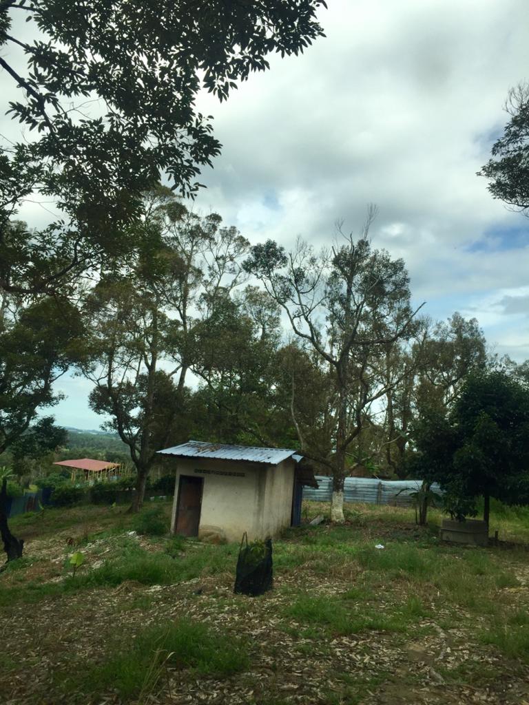 Dusun Durian Lenggeng Dekat Mantin Nilai - photo 4