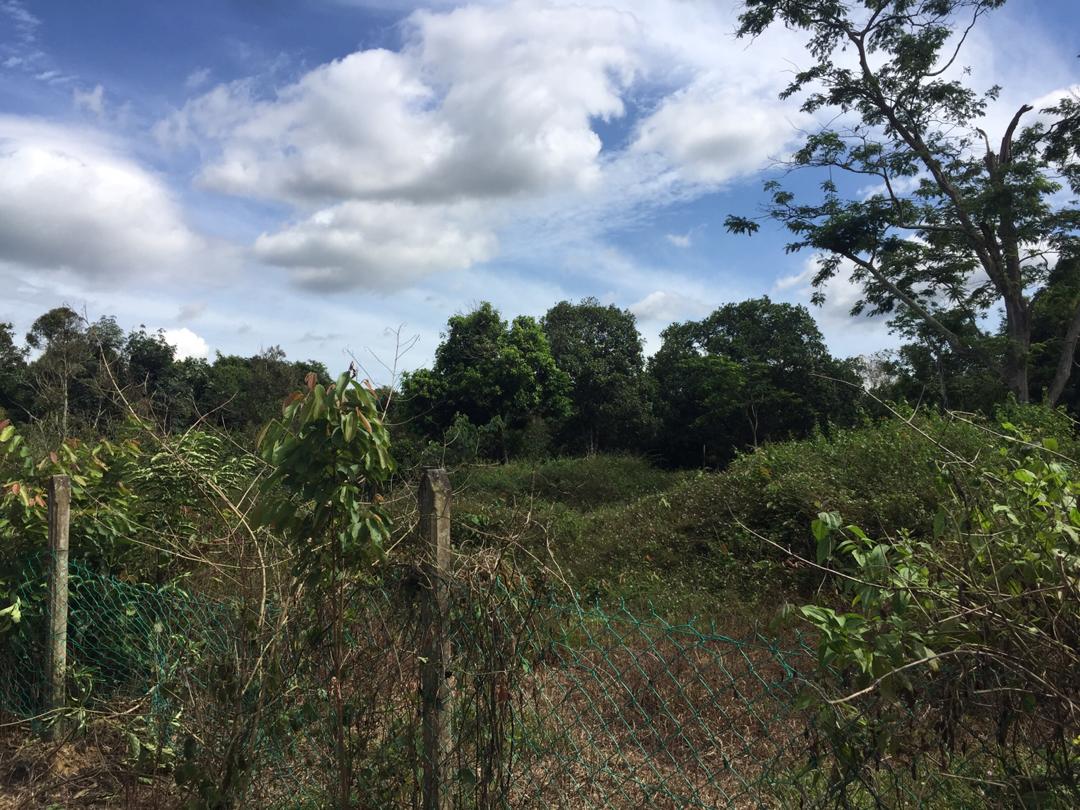 Dusun Durian Sungai Bioh Lenggeng Mantin Nilai