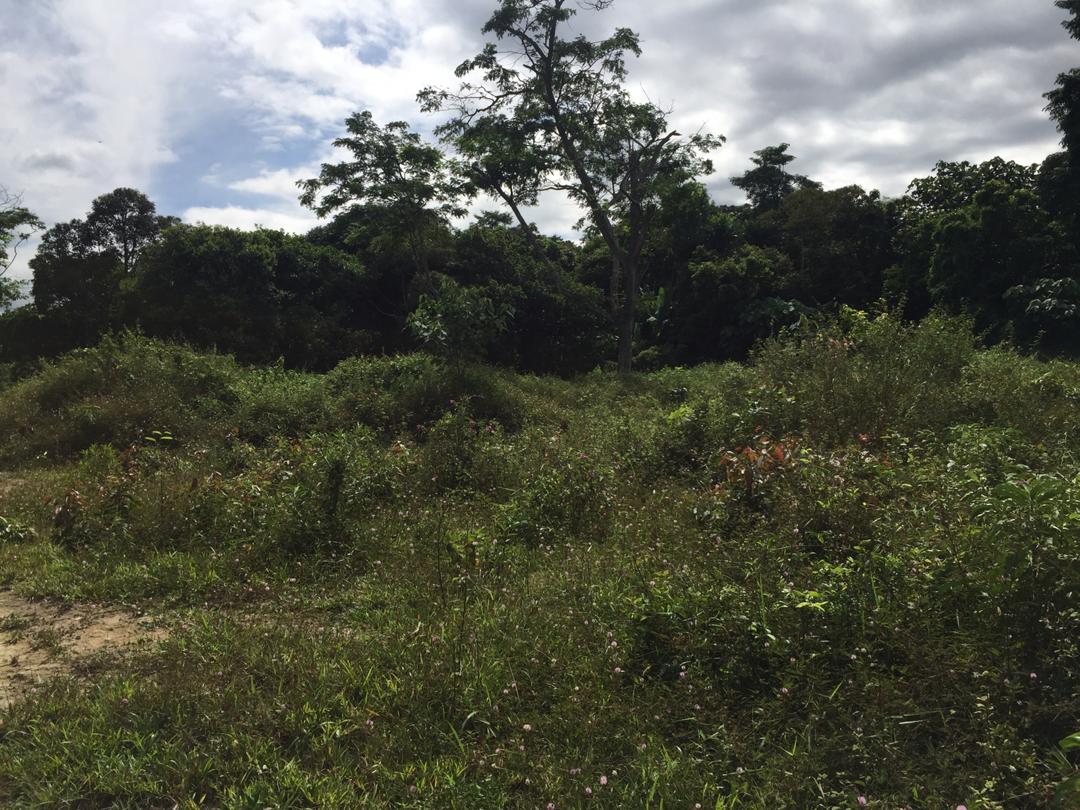 Dusun Durian Sungai Bioh Lenggeng Mantin Nilai - photo 5