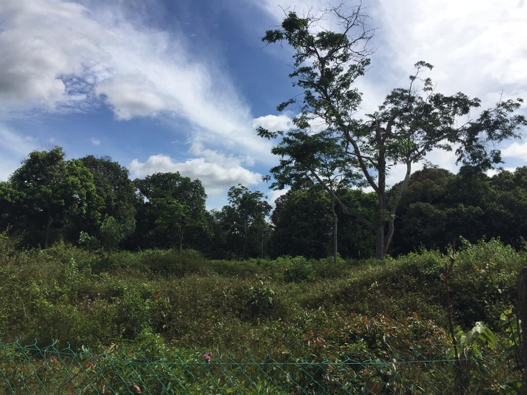 Dusun Durian Sungai Bioh Lenggeng Mantin Nilai - photo 6