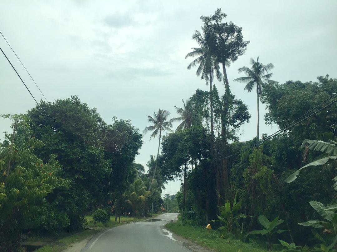 Roadside Land Sungai Lalang Semenyih Industrial Zn - photo 2