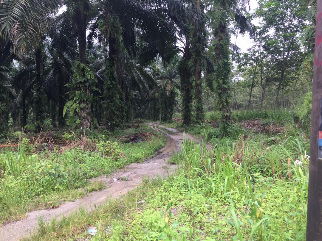 Roadside Land Sungai Lalang Semenyih Industrial Zn - photo 4