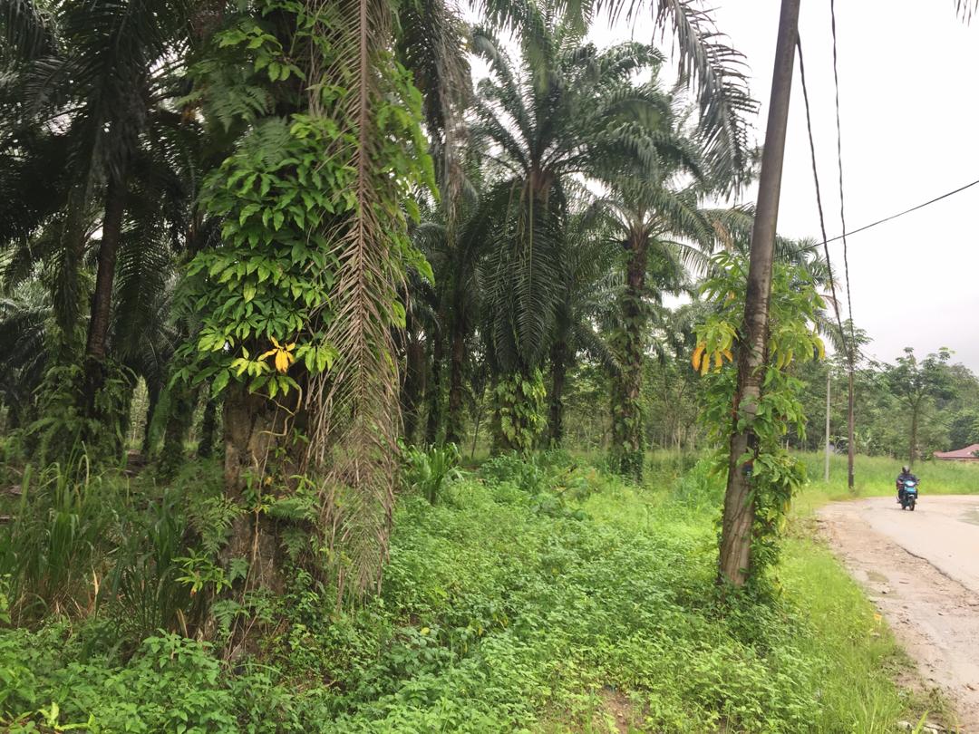 Roadside Land Sungai Lalang Semenyih Industrial Zn - photo 5