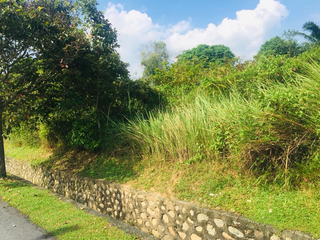 Corner Lot Mahkota Hill Lenggeng Bandar Akademia - photo 3