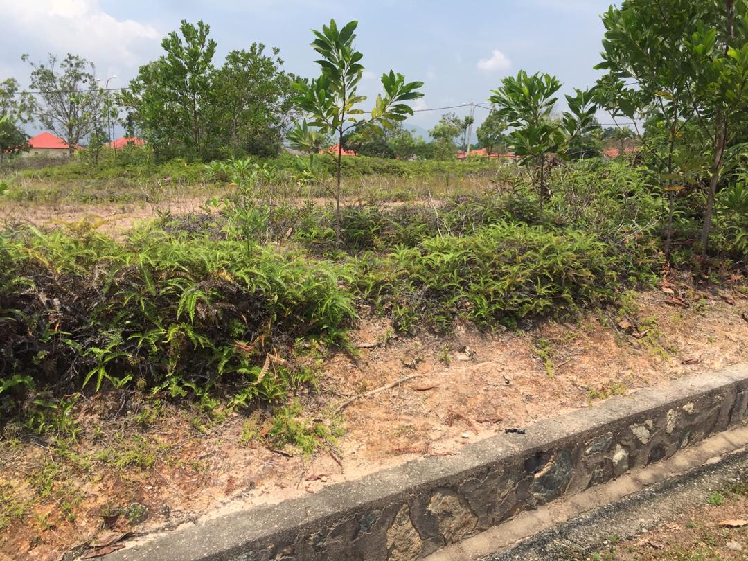 2 Lot Mahkota Hill Lenggeng Bandar Akademia - photo 5