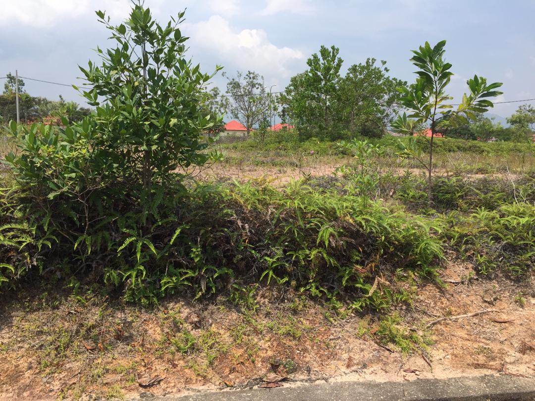 2 Lot Mahkota Hill Lenggeng Bandar Akademia - photo 6