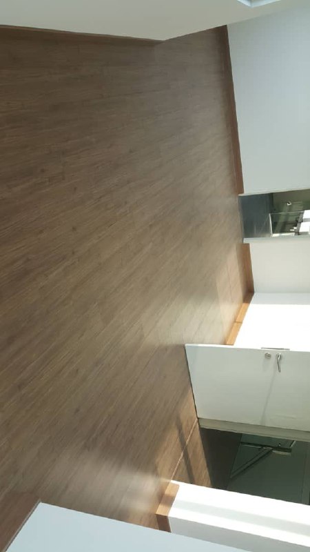 Extra Land Corner Lot 3 Storey Lake Point Residenc - photo 4