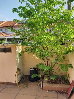 2 Storey Terrace Phase 6 Sunway Semenyih - photo 3