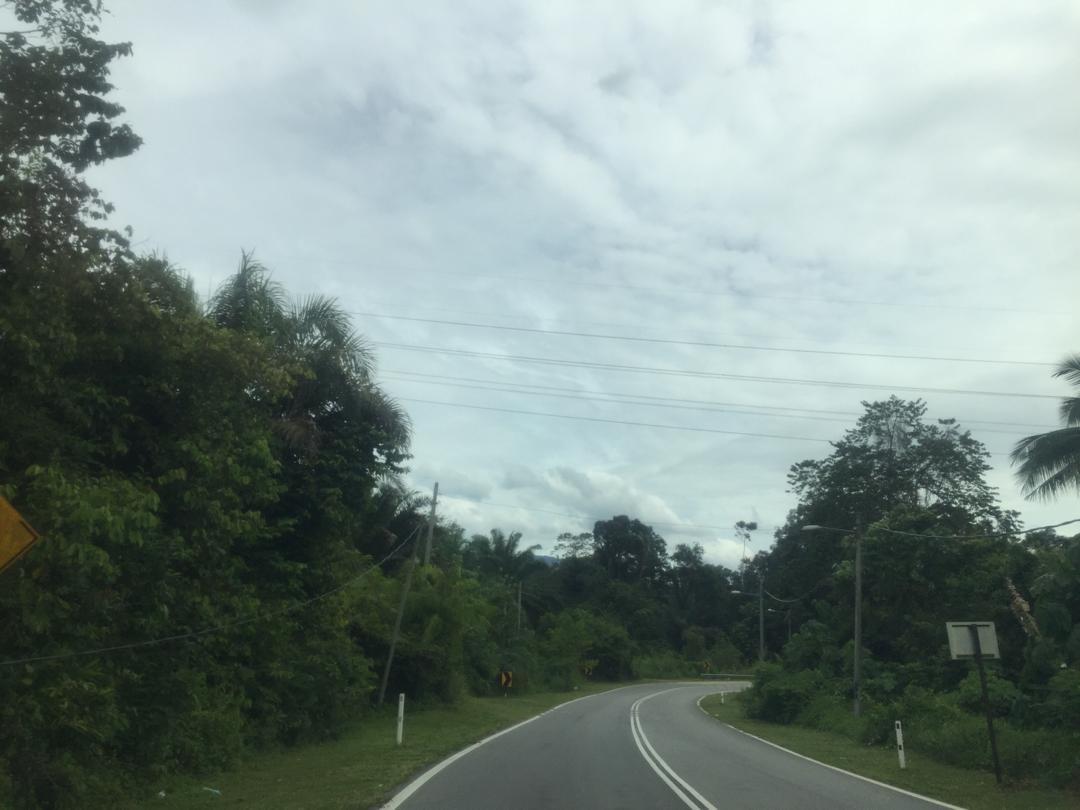 Tanah Tepi Jalan Peradong Jelebu - photo 2