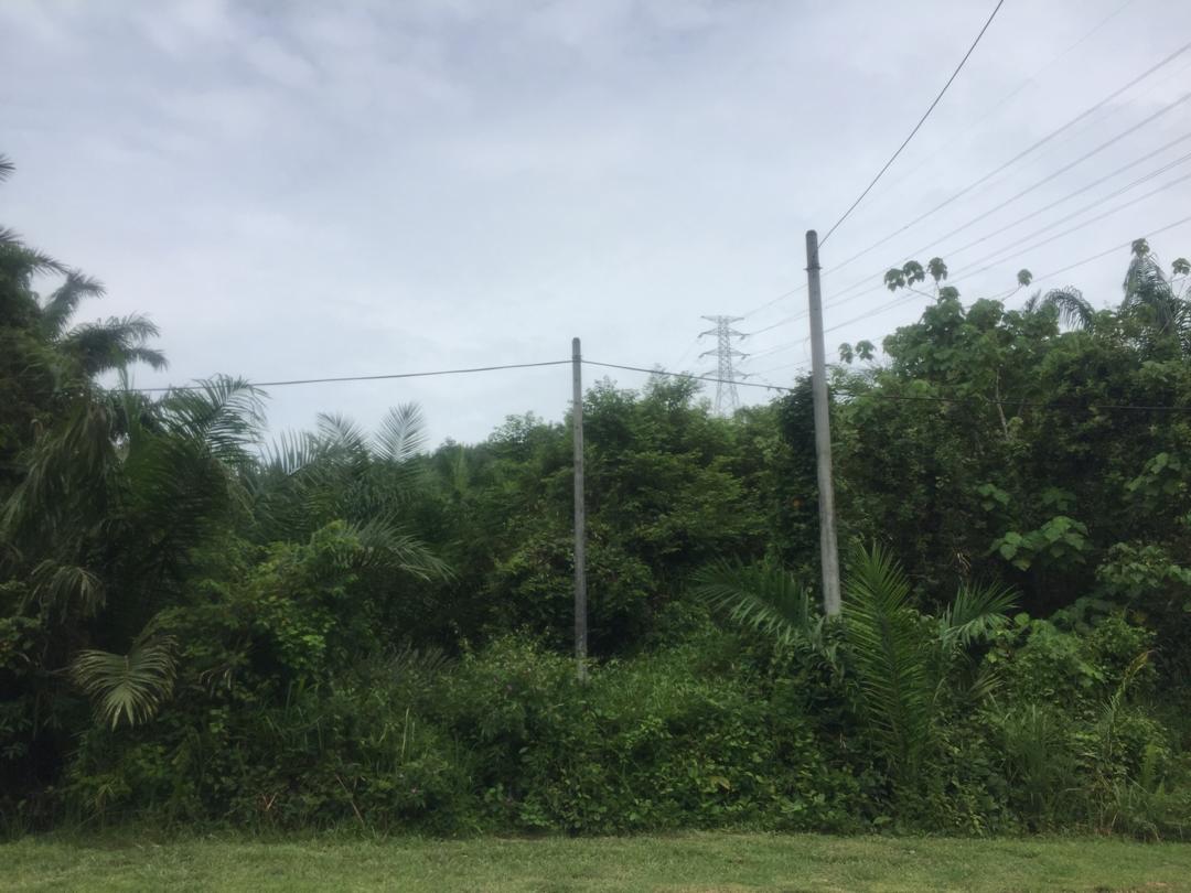 Tanah Tepi Jalan Peradong Jelebu - photo 3