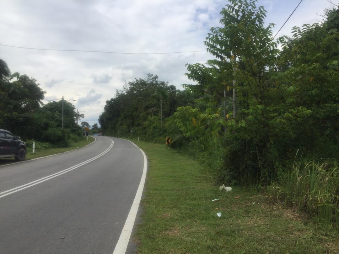 Tanah Tepi Jalan Peradong Jelebu - photo 5