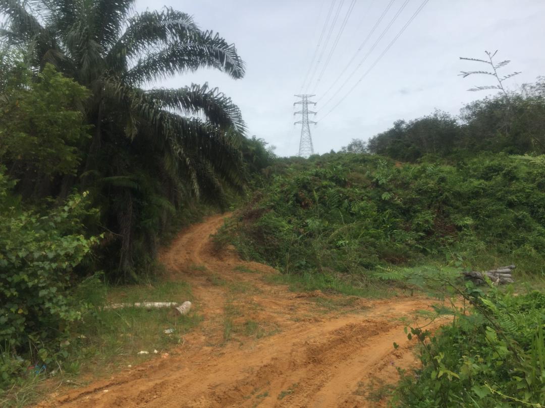 Tanah Tepi Jalan Peradong Jelebu - photo 6